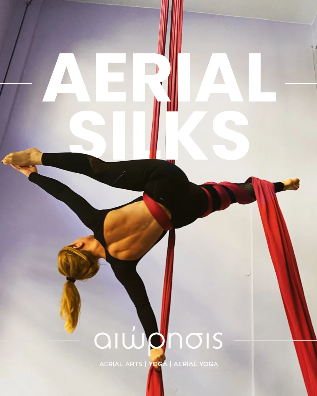 Aerial Silks
