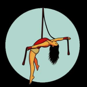 Aerial Straps