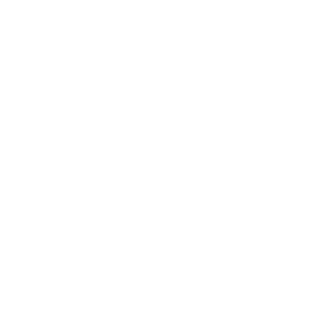 LOTUS DECOR