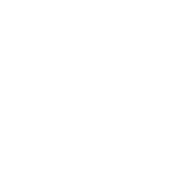 LOTUS ICON
